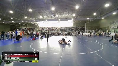 112 lbs Semifinal - Diesel Knudsen, Sanderson Wrestling Academy vs William Shallenberger, Wasatch