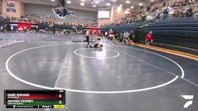 138 lbs Cons. Round 1 - Hayden Vickrey, Norman North vs Gabe Romans, Allen Blue