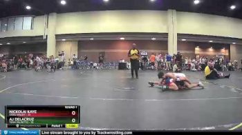 115 lbs Round 1 (4 Team) - Nickolai Kaye, Steel Valley vs AJ DeLaCruz, Team Palmetto