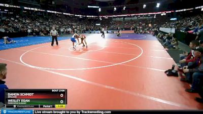 D2-220 lbs Quarterfinal - Wesley Egan, Parkview/Albany vs Damon Schmidt, Brillion