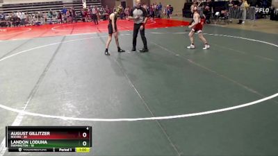 88 lbs Finals (8 Team) - Landon Loduha, Farmington vs August Gillitzer, Rocori