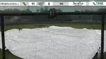 Replay: Towson vs William & Mary | Apr 8 @ 5 PM