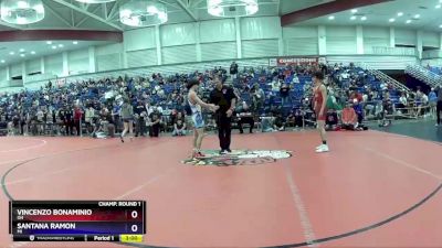 113 lbs Champ. Round 1 - Vincenzo Bonaminio, OH vs Santana Ramon, MI