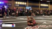David Cainas vs Joseph Medeiros 2024 ADCC North American Trials 2