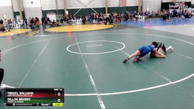 115 lbs Semifinal - Trekel Williams, Shelton Wrestling Club vs Dillon Brabec, Howells-Dodge