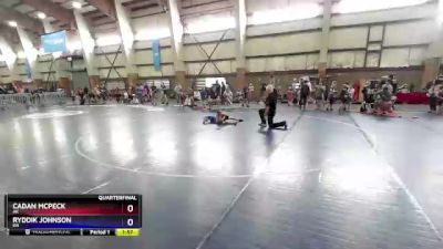 49 lbs Quarterfinal - Cadan McPeck, AK vs Ryddik Johnson, OR