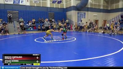 84 lbs Round 3 (4 Team) - Ethan Norris, Delta vs Rocco Cartalino, Falcon WC