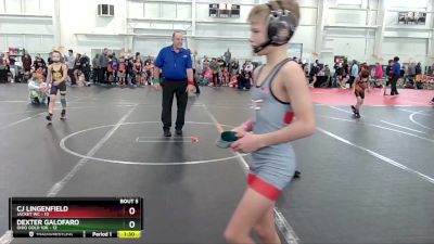 64 lbs Round 3 (4 Team) - Dexter Galofaro, Ohio Gold 10K vs CJ Lingenfield, Jacket WC