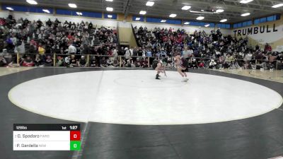 126 lbs Final - Dominick Spadaro, Fairfield Warde vs Phoenix Gardella, Norwalk