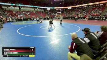 D3-175 lbs Champ. Round 1 - Caden Kingston, Cadott vs Rylee Wanek, Riverdale