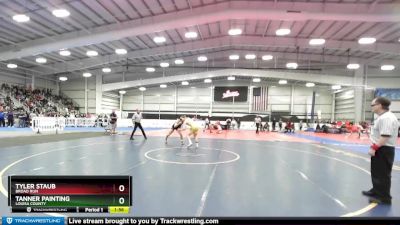 165 lbs Quarterfinal - Tanner Painting, Louisa County vs Tyler Staub, Broad Run