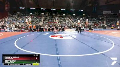 4A-195 lbs Quarterfinal - Cort Catlin, Thunder Basin vs Patrick Gross, Rock Springs