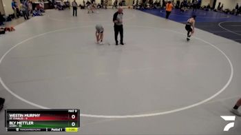 102 lbs Semis & 1st Wrestleback (8 Team) - Westin Murphy, St. Charles vs Bly Mettler, LCWM