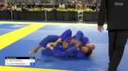 BRIAN PAUL PORTER vs PETER ALAN WISNIEWSKI 2024 Pan Jiu Jitsu IBJJF Championship