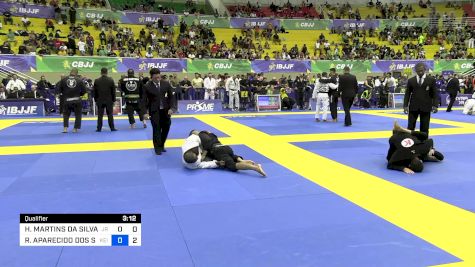 HUGO MARTINS DA SILVA DOS SANTOS vs ROBSON APARECIDO DOS SANTOS 2024 Brasileiro Jiu-Jitsu IBJJF