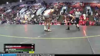 190 lbs Semifinals (8 Team) - Lee Krueger, Detroit Catholic Central HS vs Brayden Mirjavadi, Romeo HS