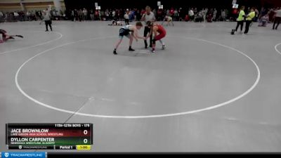 175 lbs Cons. Round 4 - Jace Brownlow, Lake Gibson High School Wrestling vs Dyllon Carpenter, Nebraska Wrestling Academy