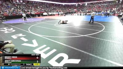 D3-113 lbs Quarterfinal - Brett Birchman, Fennimore vs Brody Miess, Riverdale