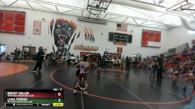 71 lbs Semifinal - Brody Miller, Worland Wrestling Club vs Luka Moran, Billings Wrestling Club