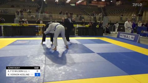 ALONZO F D WILSON LLL vs ROBERT VERNON KESLING III 2024 Pan Jiu Jitsu IBJJF Championship