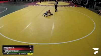 55 lbs Placement (4 Team) - Radly Pulak, Brainerd vs Merrick Anthony, LCWM