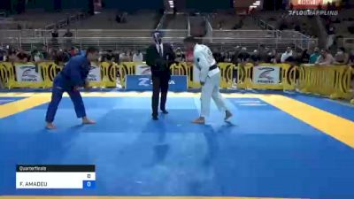 PITER FRANK vs FERNANDO AMADEU 2020 Pan Jiu-Jitsu IBJJF Championship