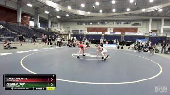 172 lbs Finals (4 Team) - Andrew Filip, Minisink Valley vs Gage LaPlante, Starpoint HS