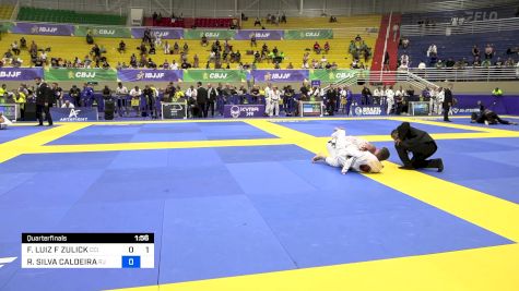 FERNANDO LUIZ F ZULICK vs RICARDO SILVA CALDEIRA 2024 Brasileiro Jiu-Jitsu IBJJF