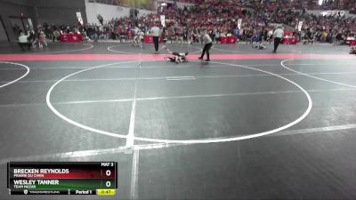 60 lbs Quarterfinal - Brecken Reynolds, Prairie Du Chien vs Wesley Tanner, Team Nazar