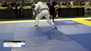 KERRY RUSSELL HARRIS vs ROBERT M. ASHLEY 2024 Pan Jiu Jitsu IBJJF Championship