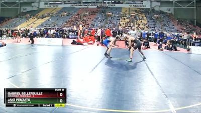 141 lbs Finals (8 Team) - Gabriel Bellefeuille, Concordia-Moorhead vs Jake Penzato, Aurora Universtiy