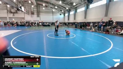 80 lbs Round 2 - Audrey Cunningham, Gracie Barra Westchase Wrestling Club vs Journey Martinez, Warhawk Wrestling Academy