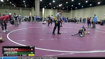 45 lbs Round 3 (4 Team) - Landon Morris, Alabama Elite Gold vs Dallas Williams, Team Palmetto