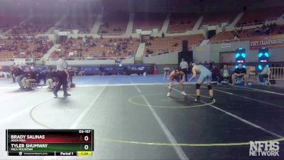 D3-157 lbs Quarterfinal - Brady Salinas, Agua Fria vs Tyler Shumway, Mica Mountain