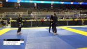 RACHEL ANDREA OVERBAUGH vs ALLISON JAFFE HAYNES 2024 Pan Jiu Jitsu IBJJF Championship