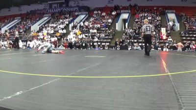 132 lbs Quarterfinals (8 Team) - Haylen Buell, Martin/Climax Scott HS vs Dalton Birchmeier, New Lothrop HS