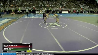 Quarterfinal - Hudson Waldow, Norfolk vs Brian Petry, Millard North