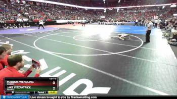 D3-113 lbs 3rd Place Match - Jake Fitzpatrick, Aquinas vs Maddux Wendling, Valders