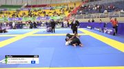 ASHLEY RIBEIRO ALVES vs GABRIELLE CUNHA CASSIMIRO DA SIL 2024 Brasileiro Jiu-Jitsu IBJJF