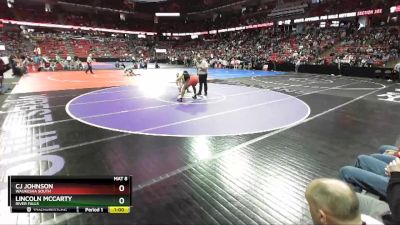 D1-285 lbs Cons. Round 1 - Lincoln McCarty, River Falls vs CJ Johnson, Waukesha South