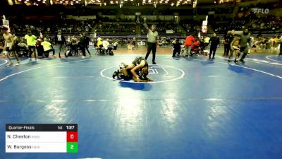 132 lbs Quarterfinal - Nasir Cheston, Roselle Park vs Wyatt Burgess, New Egypt Wrestling Club