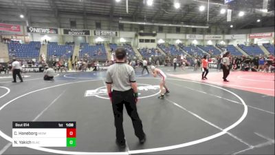 74 lbs Quarterfinal - Charlie Haneborg, Midwest Destroyers vs Noah Yakich, Black Fox Wr Acd