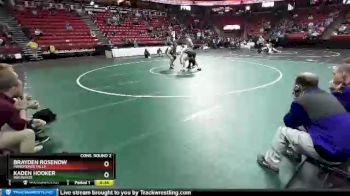 D1-195 lbs Cons. Round 2 - Brayden Rosenow, Menomonee Falls vs Kaden Hooker, Waunakee