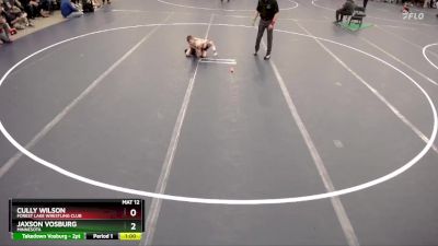 Champ. Round 1 - Cully Wilson, Forest Lake Wrestling Club vs Jaxson Vosburg, Minnesota