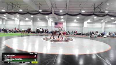 133 lbs Champ. Round 2 - Zimani Malomboza, Indiana Tech vs Noah Cantu, Indianapolis