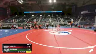 110 lbs Quarterfinal - Keston Johnson, Star Valley vs Abigail Vroman, Central