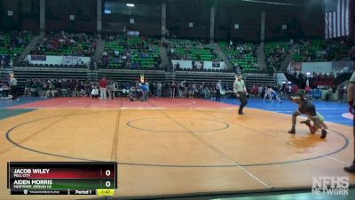 126 lbs 3rd Place Match - Jacob Wiley, Pell City vs Aiden Morris, Mortimer Jordan HS