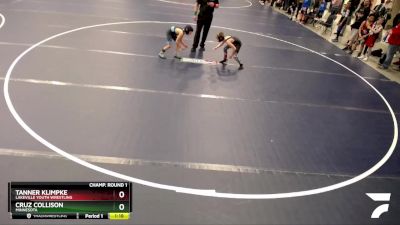 59 lbs Champ. Round 1 - Tanner Klimpke, Lakeville Youth Wrestling vs Cruz Collison, Minnesota