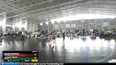 67 lbs Semis & Wb (16 Team) - Blade Pehrson, Utah Gold vs Joseph Tracy, Idaho 1