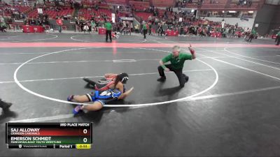 120 lbs 3rd Place Match - Saj Alloway, Crandon Cardinals vs Emerson Schmidt, ParkviewAlbany Youth Wrestling